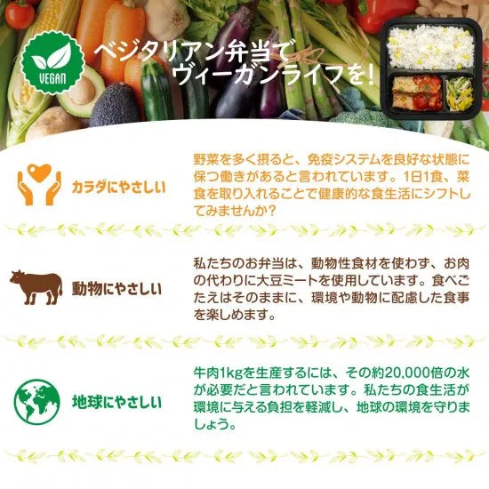 【受注対応品】こくうまトマトのデミ風ハンバーグ　＜アクセア＞
