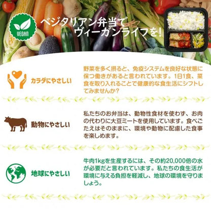 【受注対応品】さっぱりおろしの和風ハンバーグ　＜アクセア＞