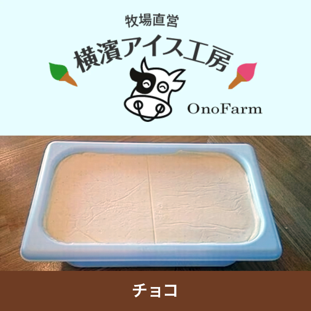 【Made to order】Ice cream Chocolate 4L×3×3 boxes　＜Ono Farm＞