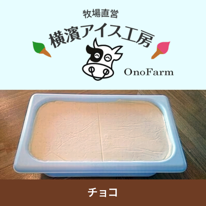 【Made to order】Ice cream Chocolate 4L×3×3 boxes　＜Ono Farm＞