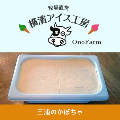 【受注対応品】アイスクリーム 三浦のかぼちゃ 4L×3×3箱　＜小野ファーム＞