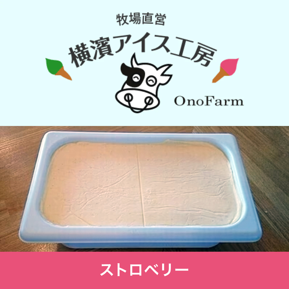 【受注対応品】アイスクリーム ストロベリー 4L×3×3箱　　＜小野ファーム＞