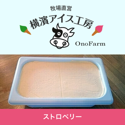 【受注対応品】アイスクリーム ストロベリー 4L×3×3箱　　＜小野ファーム＞
