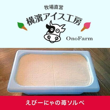 【受注対応品】アイスクリーム えびーにゃの苺ソルベ 4L×3×3箱　＜小野ファーム＞
