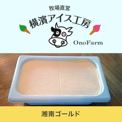 【受注対応品】アイスクリーム 湘南ゴールド 4L×3×3箱　＜小野ファーム＞