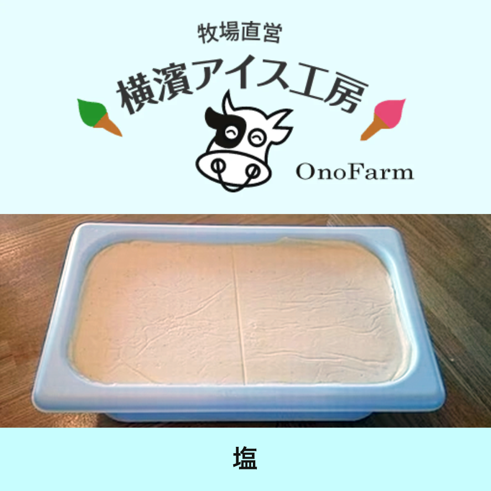 【受注対応品】アイスクリーム 塩 4L×3×3箱　＜小野ファーム＞