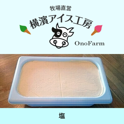 【受注対応品】アイスクリーム 塩 4L×3×3箱　＜小野ファーム＞