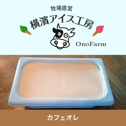 【受注対応品】アイスクリーム カフェオレ 4L×3×3箱　　＜小野ファーム＞